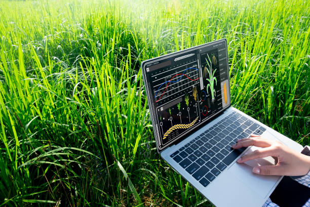 اینترنت اشیا کشاورزی و پشتیبانی فنی سایت فروش