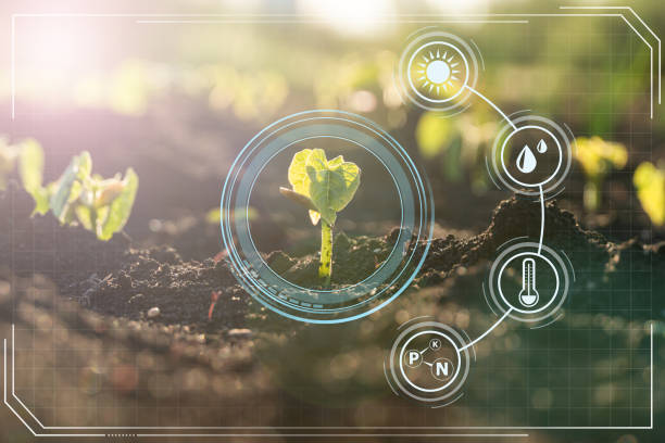 کاربرد هوش مصنوعی در کشاورزی هوشمند و افزایش سودآوری گلخانهها