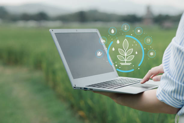 تحلیل دادهها و KPI در دیجیتال مارکتینگ کشاورزی برای افزایش فروش