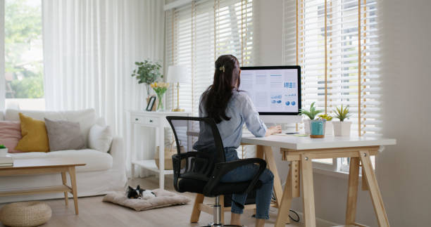 جذب آنلاین ناشران بزرگ با سئو B2B پینو سایت و طراحی وبسایت حرفهای
