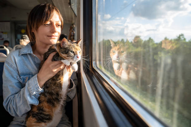 افزایش رضایت مسافران با طراحی UX/UI خلاقانه و شخصیسازی شده سفر در اپلیکیشن تاکسی