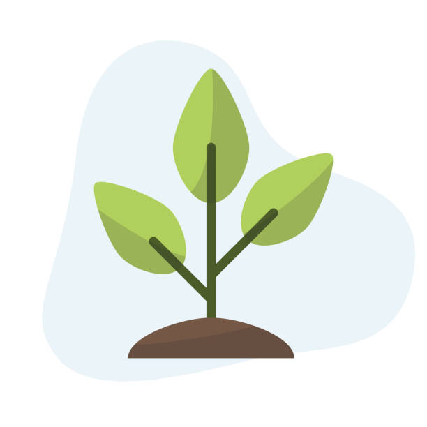 سئوی ماشین آلات کشاورزی و رشد کسب و کار