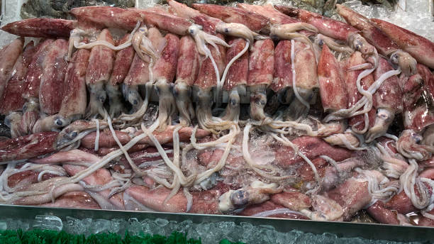 استراتژی سئو عطاری برای جذب مشتری در بندرعباس