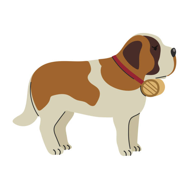 افزایش رتبه سئو دامپزشکی با طراحی وبسایت حرفه ای