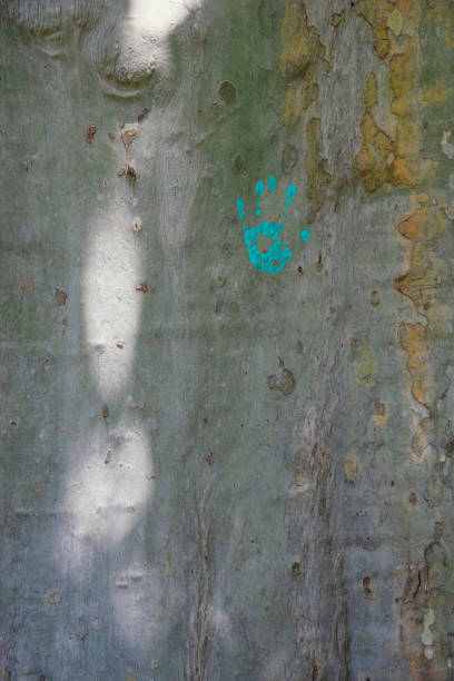 تضمین اصالت فیروزه نیشابور با برندینگ دیجیتال و طراحی وبسایت