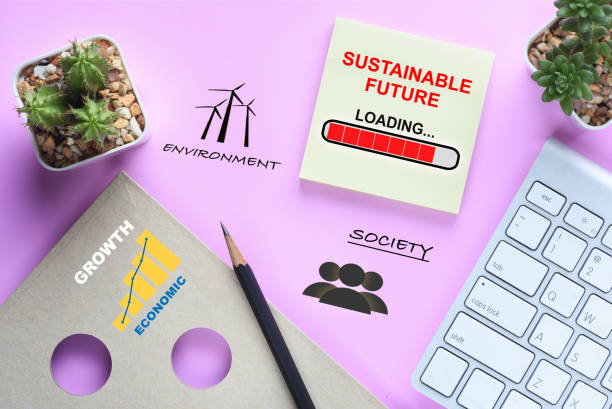 برندینگ دیجیتال پایدار برای کارخانه پلاستیک دوستدار محیط زیست و خدمات پینو سایت