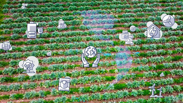 تولید محتوای کشاورزی پایدار برای افزایش فروش گلخانهای با بازاریابی دیجیتال