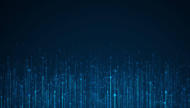 تحول دیجیتال در خدمات قالیشویی با استراتژی توسعه وب اپلیکیشن و سئو فوق محلی