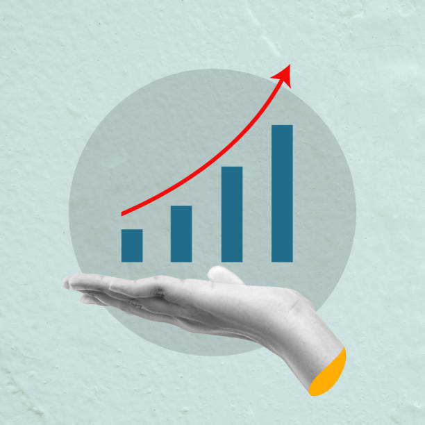 افزایش فروش و درآمد با پشتیبانی وردپرس برای گالری هنری آنلاین