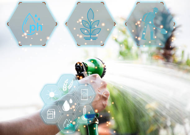 سئو محلی خدمات باغبانی برای ویلاهای لوکس لواسان