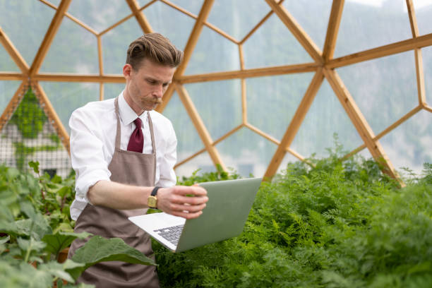 اتوماسیون گلخانه و مدیریت از طریق پلتفرم دیجیتال