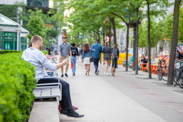 تجربه کاربری شهری و دسترسی آسان شهروندان به خدمات آنلاین شهرداری