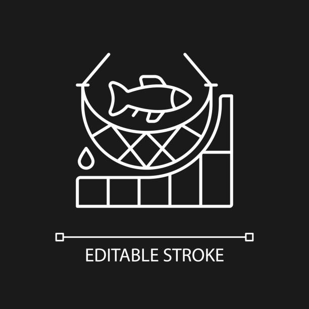 استراتژی دیجیتال آبزیان و بازاریابی B2B شیلات