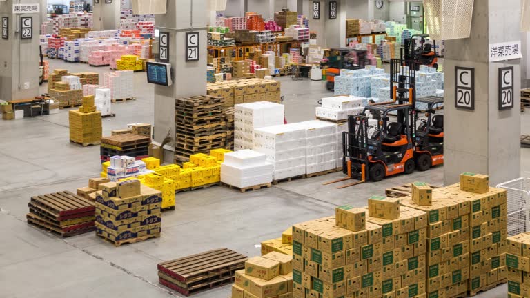 قیمت طراحی وبسایت برای صادرات آبزیان و ROI بازاریابی دیجیتال