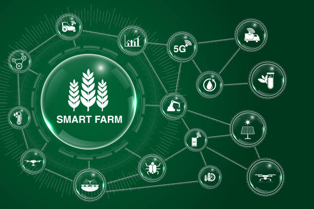 کشاورزی هوشمند و طراحی سایت D2F با یکپارچهسازی IoT توسط پینو سایت