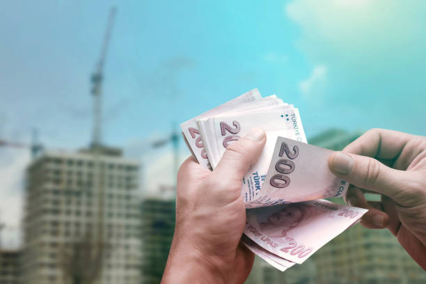 سرمایهگذاری در طراحی وبسایت گمرکی