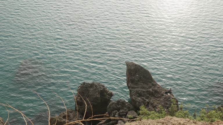 صادرات آبزیان بوشهر با برندینگ دیجیتال