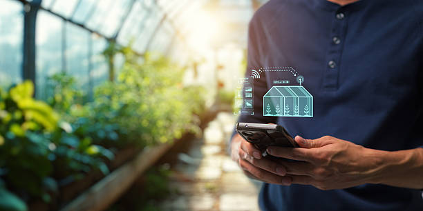 پشتیبانی فنی وبسایت برای گلخانههای هوشمند اصفهان و نقش IoT در افزایش صادرات
