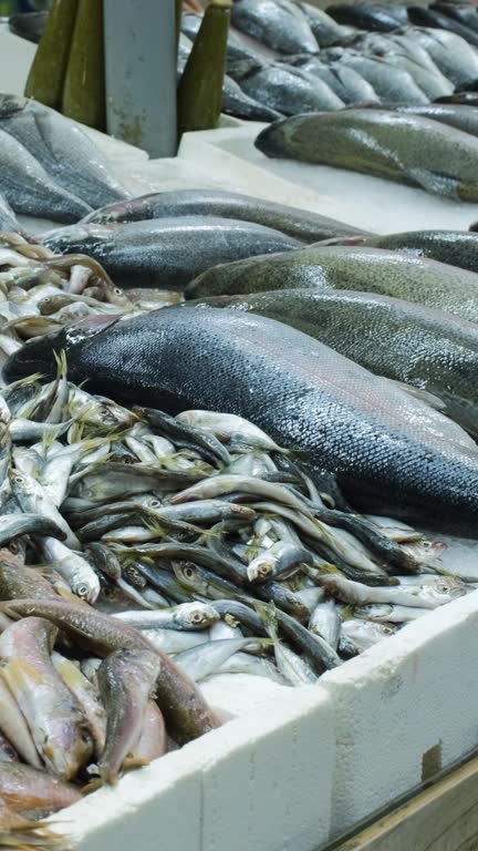 بازار عمده فروشی ماهی و طراحی وبسایت فروشگاهی