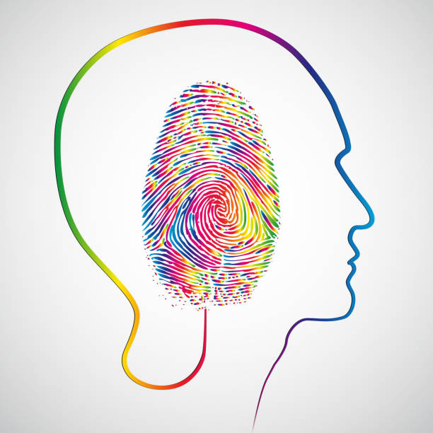 طراحی وبسایت صنعتی و معماری اطلاعات در ایران