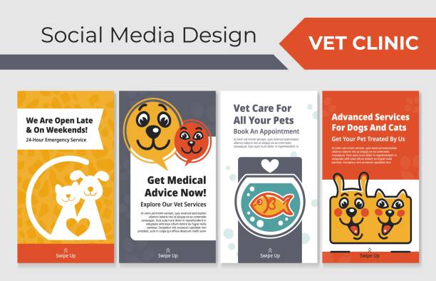 مقایسه وبسایت و وب اپلیکیشن برای کلینیک دامپزشکی