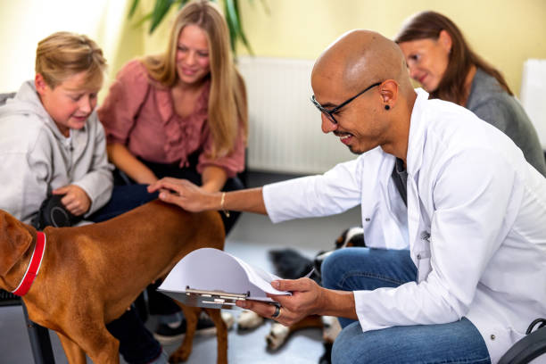 مشاوره دیجیتال مارکتینگ دامپزشکی در پینو سایت