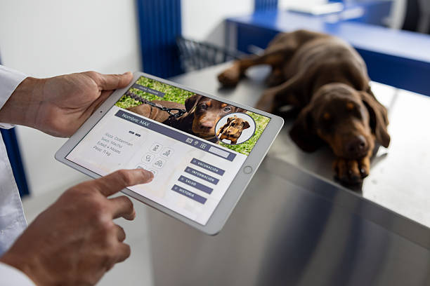 نرم افزار CRM دامپزشکی برای مدیریت سوابق الکترونیک