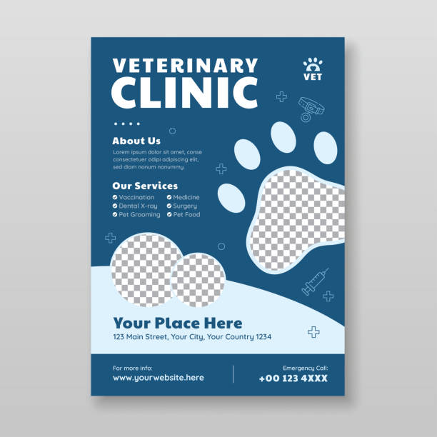 جذب مشتری دامپزشکی با محتوای جذاب