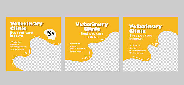 نمایش نتایج و اعتمادسازی با سئو ویدیو برای کلینیک پوست و مو