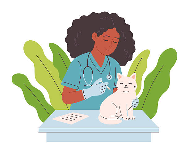 طراحی وبسایت حرفه‌ای برای کلینیک دامپزشکی در شیراز