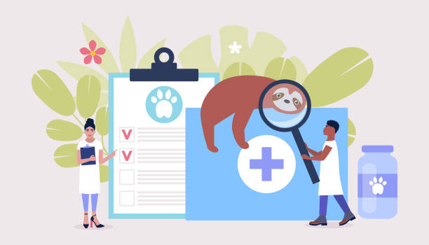 معرفی تیم متخصص دامپزشکان در وبسایت کلینیک