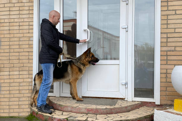 پورتال بیمار دامپزشکی برای وفادارسازی مشتریان در شیراز