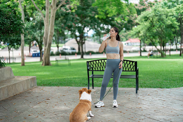 طراحی وبسایت در ایران برای مراکز اسپا و سلامتی