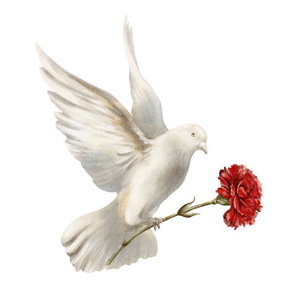 برندینگ خدمات ازدواج با طراحی سایت اعتمادساز