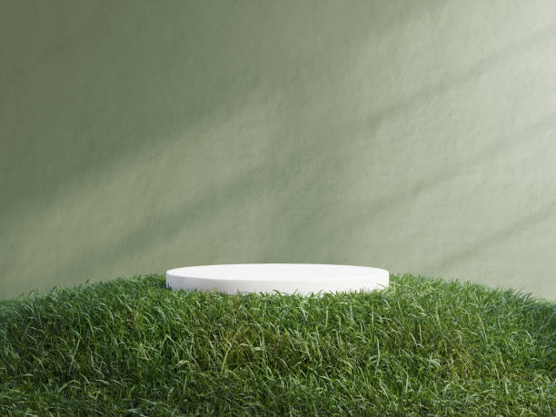 نمایش محصولات پایدار با استراتژی دیجیتال سبز برای افزایش فروش چاپخانه