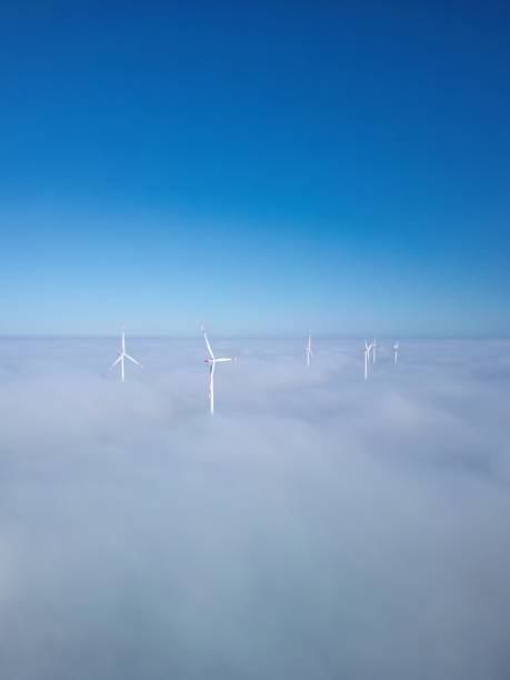 سرمایهگذاری بلندمدت در طراحی پلتفرم کشاورزی مدرن آنلاین