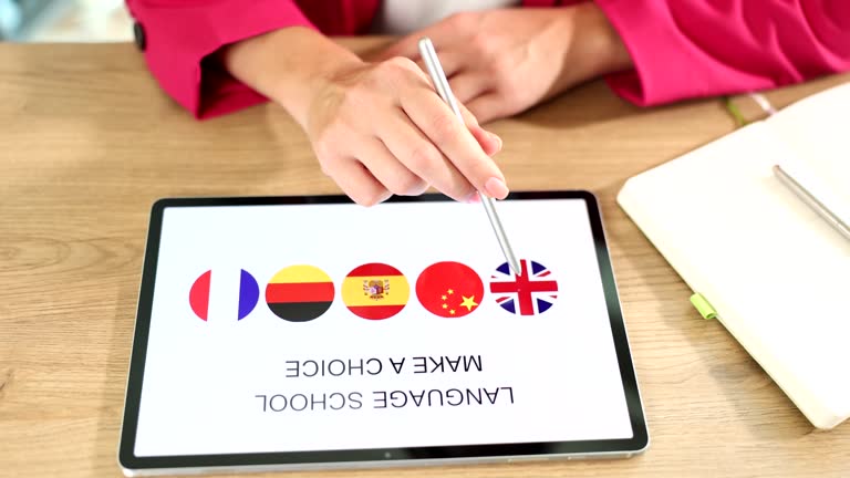 سئو برای صادرات و بازاریابی دیجیتال بین المللی با پینو سایت