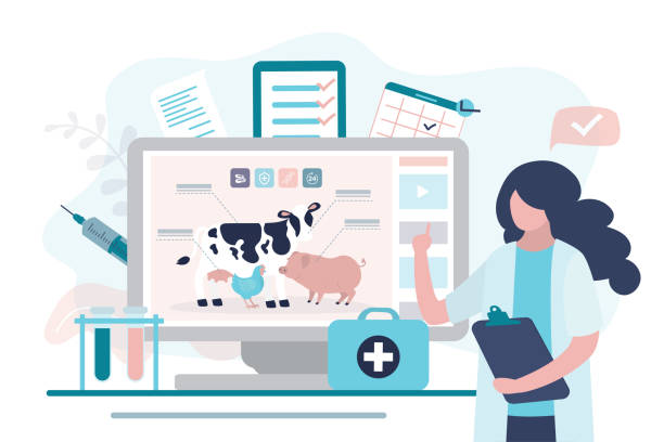 تولید محتوای تخصصی و سئو برای سایت دامپزشکی