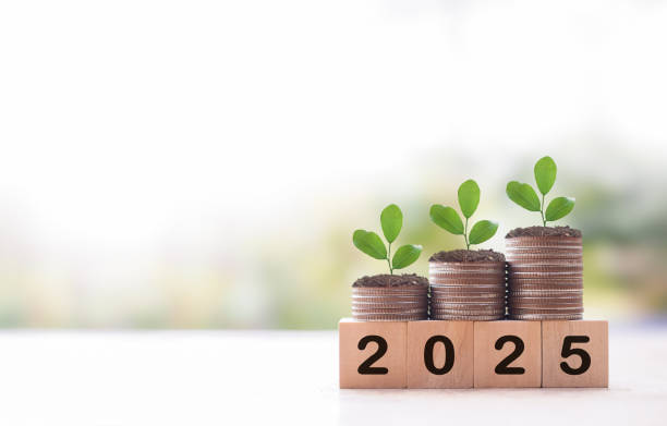 سرمایهگذاری موفق در صنعت پتروشیمی ایران در سال 2025