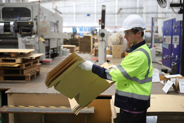 تولید محتوای تخصصی برای شرکت‌های بسته‌بندی