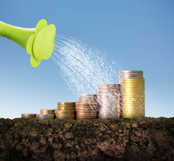 تحلیل دادهها و نمودارهای بازگشت سرمایه در دیجیتال مارکتینگ آژانس مسافرتی