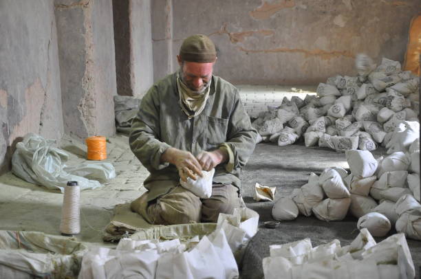 مشاوره دیجیتال مارکتینگ برای شرکت های حمل و نقل بینالمللی در یزد