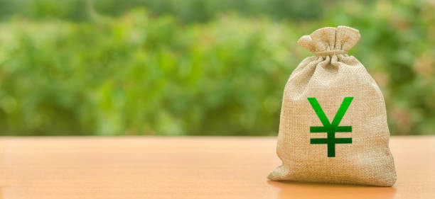 افزایش درآمد و بازگشت سرمایه با استراتژی سئو B2B برای طراحی داخلی