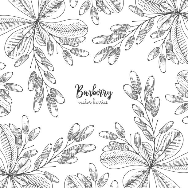 طراحی وبسایت در ایران برای محصولات کشاورزی و سلامت محور