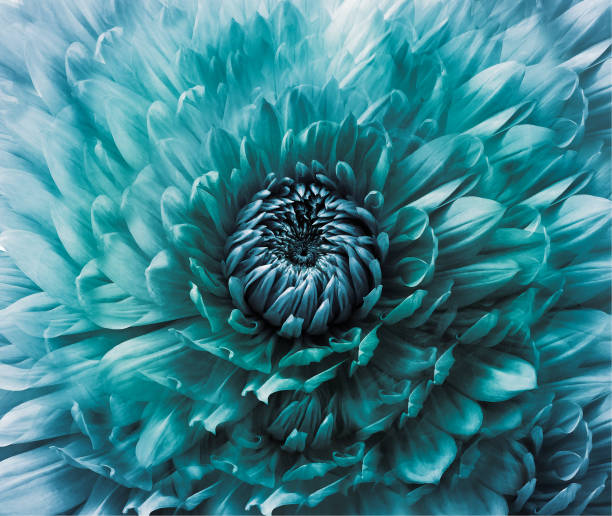 گل زیبا نماد رشد کسب و کار باغبانی با طراحی سایت حرفه ای