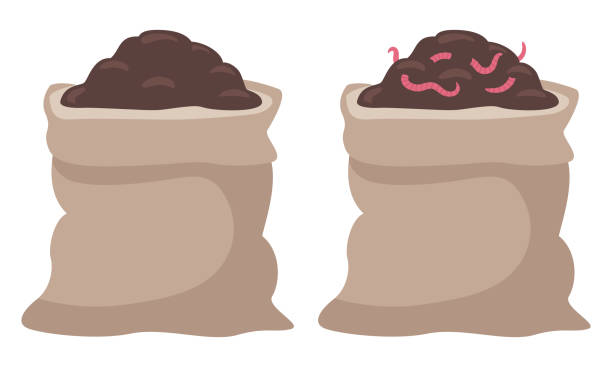 روایت سلامت از شالیزارهای ساری: استراتژی تولید محتوای سئو و طراحی سایت با تأیید اصالت بلاکچین برای برندینگ محصولات ارگانیک - خاک و کود ارگانیک