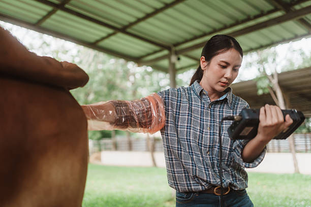 اینترنت اشیا وبسایت در صنعت دامداری و لبنیات