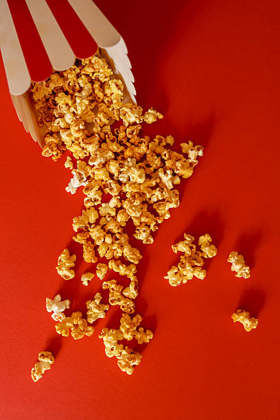 بازاریابی دیجیتال توانبخشی رشت، تولید محتوای ویدئویی پزشکی و رتبه بندی گوگل کاردرمانی ۱۴۰۵