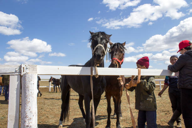 مدیریت شجرهنامه اسب ترکمن و بازاریابی جهانی