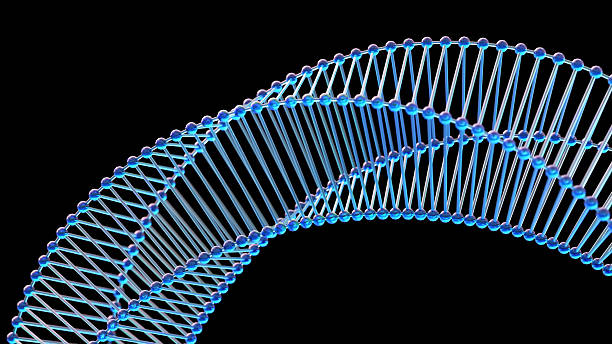 معماری پیوندهای دیجیتال پیچیده و استراتژی سئو برای دفاتر ازدواج و طلاق در قم - بهینه سازی تجربه کاربری و برندینگ آنلاین